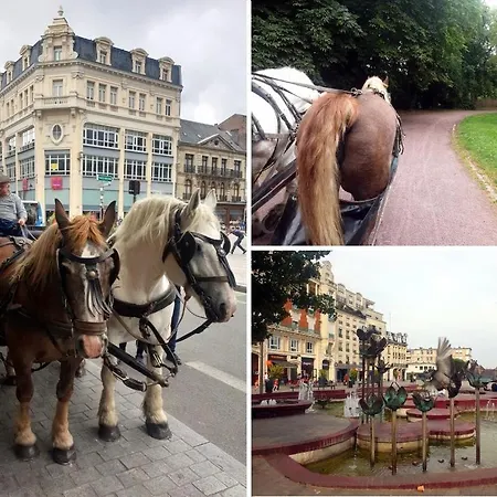 Le Classique - Elegant & Lumineux En Centre-ville Дуэ